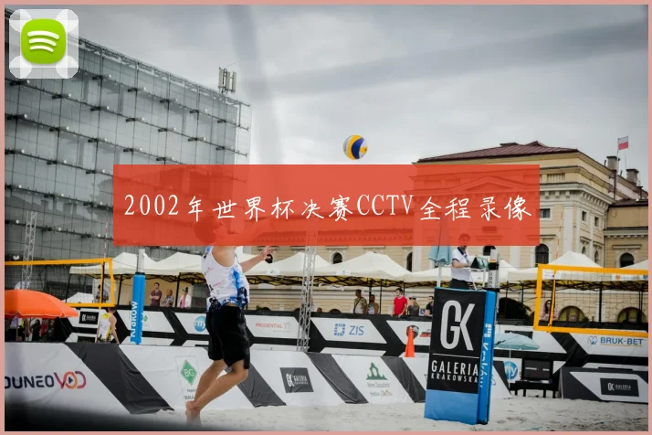 2002年世界杯决赛CCTV全程录像