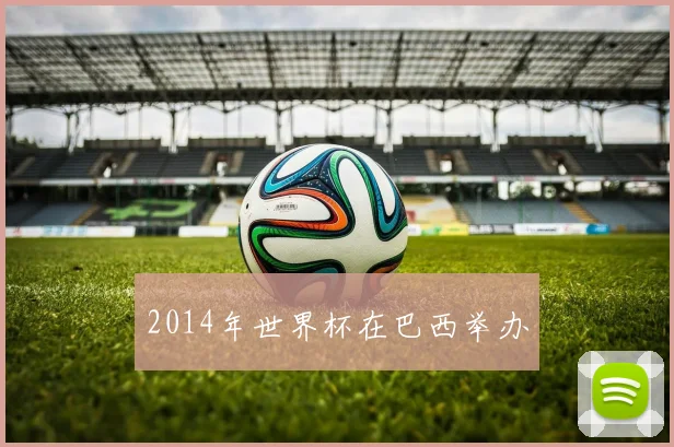 2014年世界杯在巴西举办
