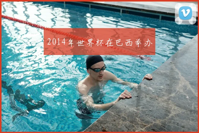 2014年世界杯在巴西举办