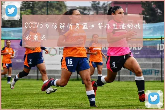 CCTV5专访解析男篮世界杯直播的精彩看点