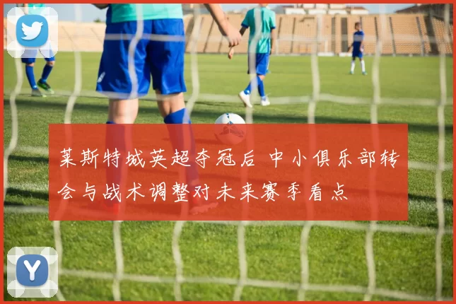 莱斯特城英超夺冠后 中小俱乐部转会与战术调整对未来赛季看点