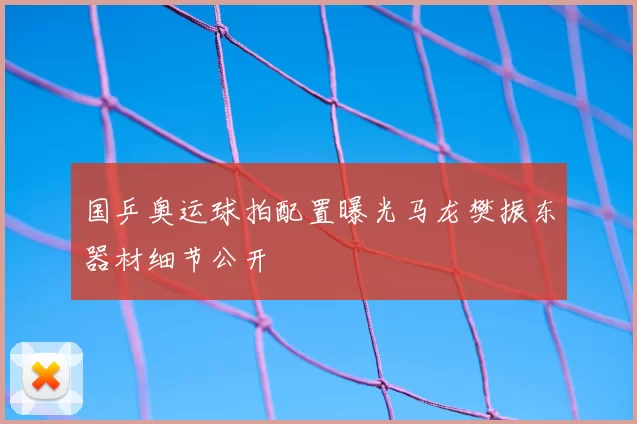 国乒奥运球拍配置曝光马龙樊振东器材细节公开