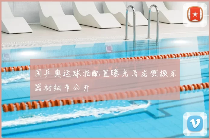 国乒奥运球拍配置曝光马龙樊振东器材细节公开