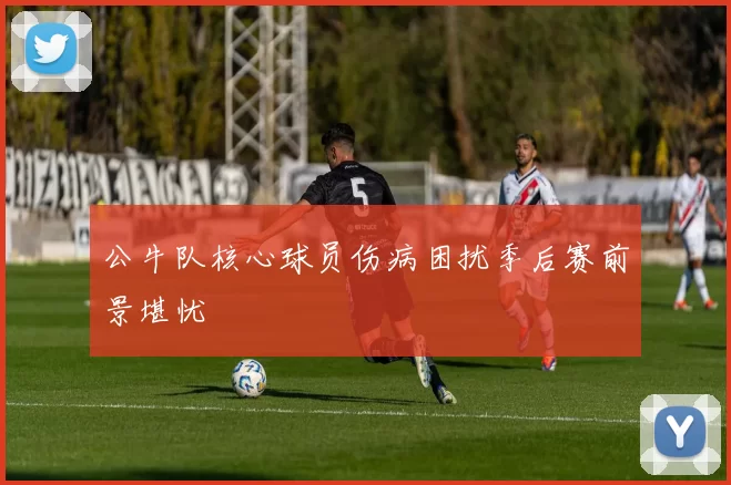 公牛队核心球员伤病困扰季后赛前景堪忧